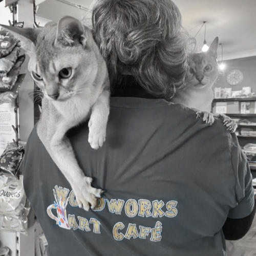Bison Electrical Visit Woodworks Cafe